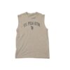 US POLO ASSAN Mens  T-Shirt – 100% Original | Bulk Lot Available